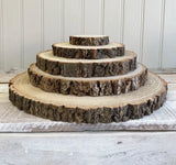 Round Wood Pine Tree Slices