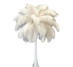 Silk All White Ostrich Feather Centerpiece