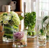 Transparent Glass Vase 2